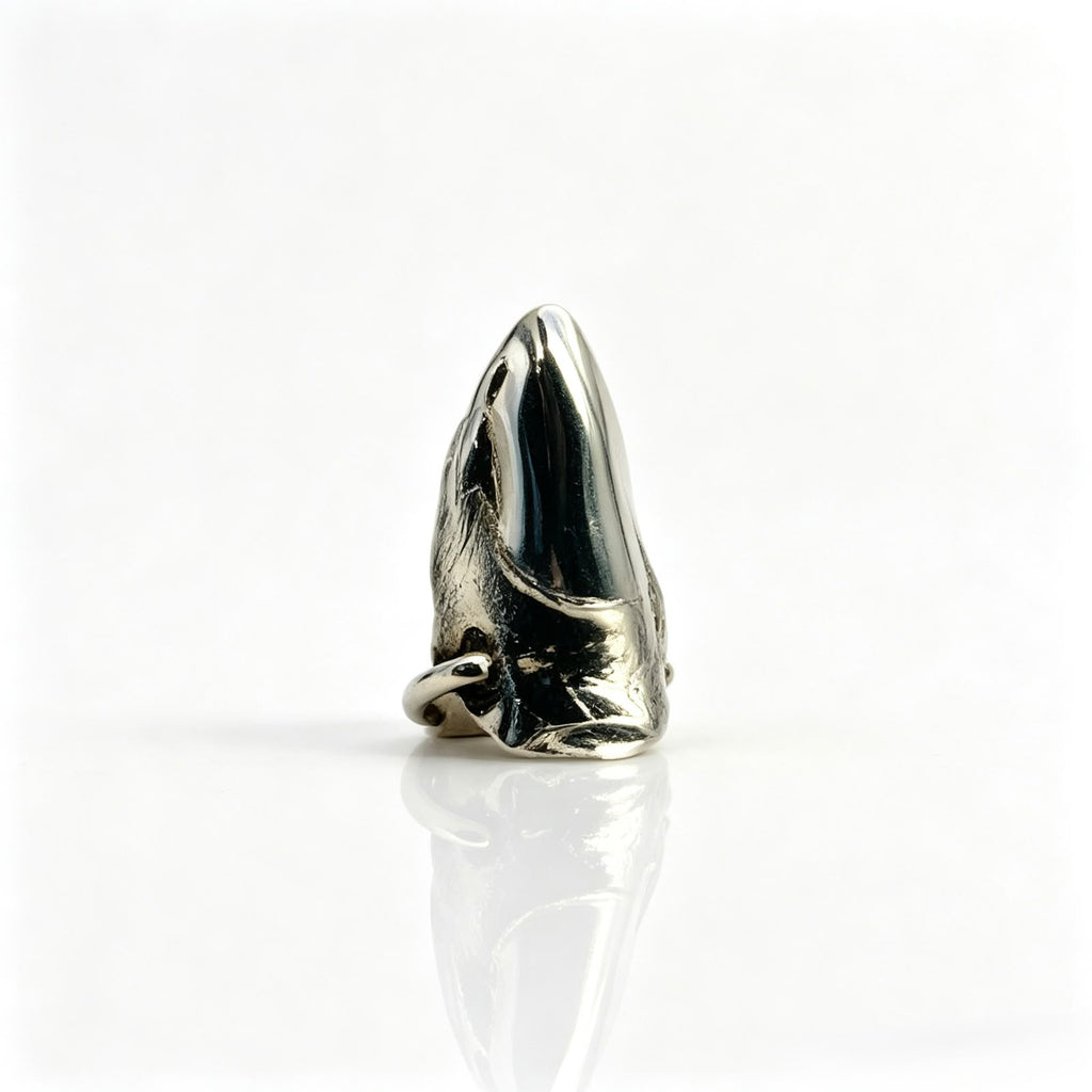 Pointed Nails Ring Finger Cover